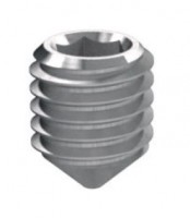 Worm GR32 FZ galvanized